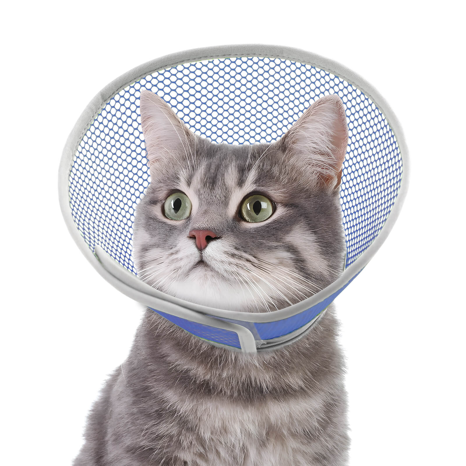 Waterproof Cat Cone_blue-supet